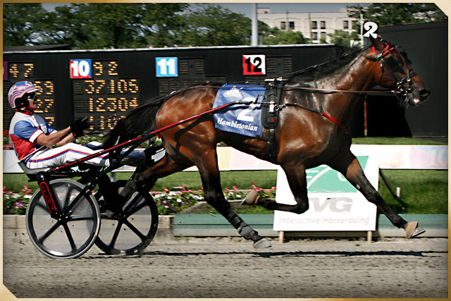 Donato Hanover